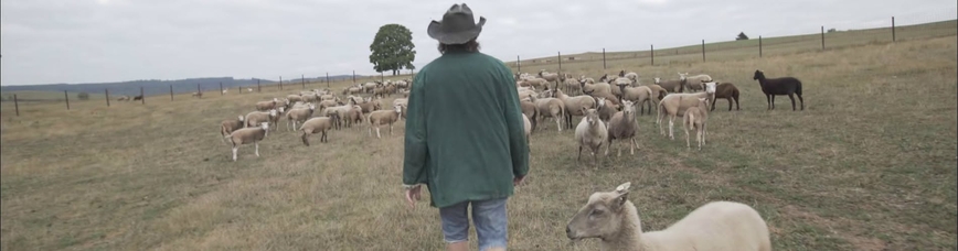 Sengirės kino filmas 