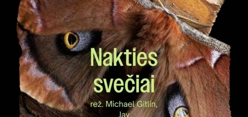 Dokumentinis filmas NAKTIES SVEČIAI (Kuktiškėse)
