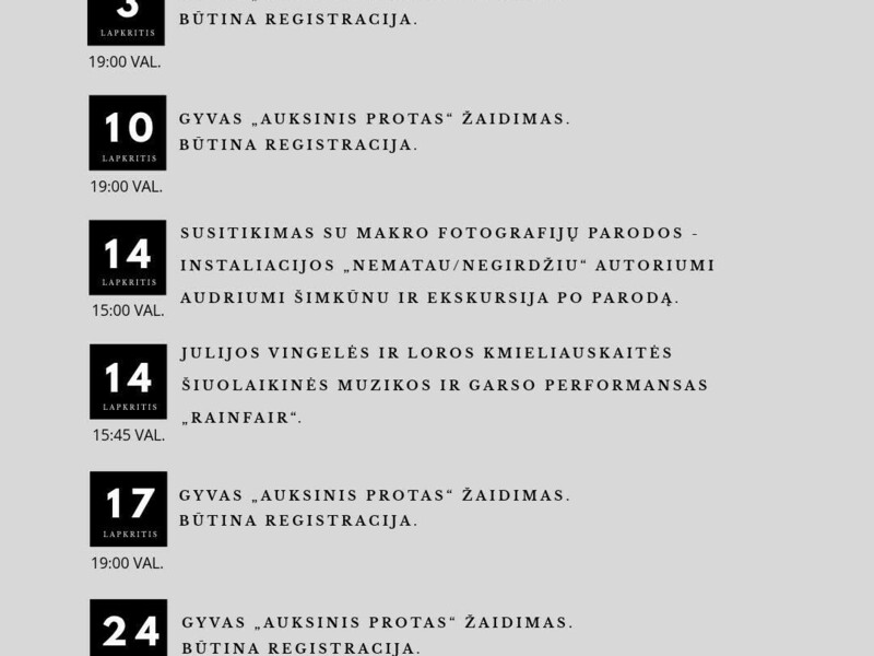 Julijos Vingelės ir Loros Kmieliauskaitės šiuolaikinės muzikos ir garso performansas "Rainfair"