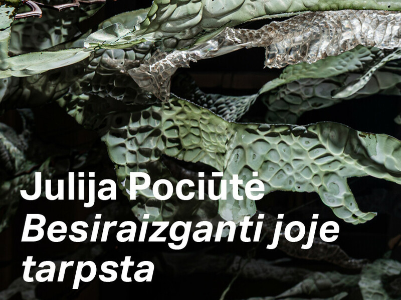 Julija Pociūtė „Besiraizganti joje tarpsta“