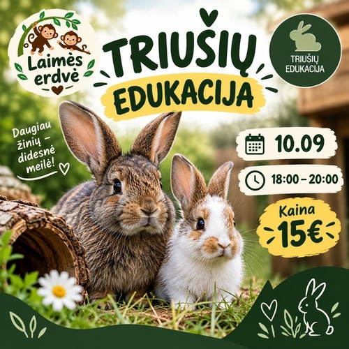 Éducation des lapins